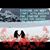 Karen Bradshaw's profile image