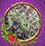 Sharon Baluch's profile image