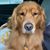 Lissa Volz's profile image