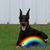 Diane Wall Williams's profile image