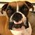 Mike Maxwell's profile image
