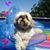 Michelle Moore's profile image
