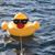 Sandy Nungester Adam's profile image