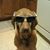 Michelle Cramer's profile image