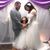 Alicia Ramos's profile image