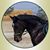 Lauren Terk's profile image