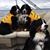 Barbara Cook Brown's profile image