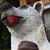 Hannibal B. Goode's profile image