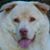 Anita Horton Mabe's profile image