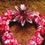 Kathy McCormack Heisler's profile image