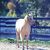 Darlene Martin's profile image