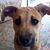Laura Price's profile image