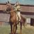 Jean V Hart's profile image