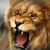 Diane Clemons's profile image