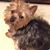 Debbie Dalton Burger's profile image