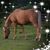 Sandy Morrison Harris's profile image
