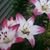 Trudy Hall's profile image