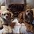Charlene Kay Palkovic's profile image