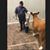 Matthew Gillispie's profile image