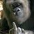 Ed Garcia Sr.'s profile image