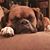 Diane Haley Brooks's profile image