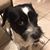 Deanna Segura's profile image