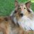 Vicki Bradley's profile image
