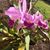 Norma F Martinez Carro's profile image