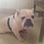 Dayna Lee's profile image