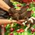 Robin Billie Yarbrough's profile image