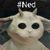 Jackie McPherson's profile image
