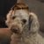 Rachel Jarman's profile image