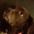 Carole Wright's profile image