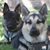 David L. Haviland's profile image