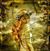 Elaine Gaither Garrett's profile image