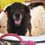 Natalie Micale's profile image
