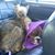 Shelly Grubb's profile image