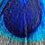 Yesenia Tuckwiller's profile image