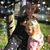 Dawn Miller Graeter's profile image