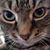 Rich Nissen's profile image