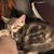 Susan Edwards's profile image
