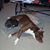 John David Lewars's profile image