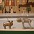 Julie Thomas Buchheim's profile image