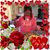 Brenda Miller's profile image