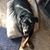 Shannon Barton Bullard's profile image