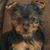 Stormy Snider-Carpenter's profile image
