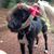 Sue Glascock's profile image