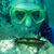 Jean-Paul Vitek's profile image