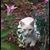 Dria Lachappelle's profile image