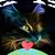 Debi Hall's profile image